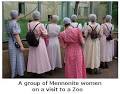 many Mennonites are often