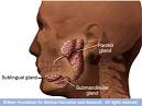 <b>Submandibular Gland</b>) www.ent-surgery.com.au