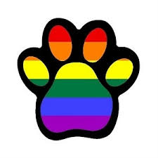 Image result for rainbow paw print