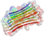 Proteína precursora <b>amiloide</b>