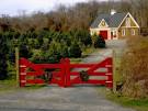 Holiday Decorating Ideas for Barn Homes and Others