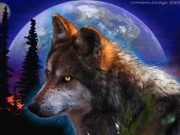 هل تعلم ان الذئب هو الحيوان الوحيد الذي تخشاه الجن  Images?q=tbn:ANd9GcT34FdMQPqMy50kPDofAXe7UOUjoBFHMIxxIFaYxDxSZ5hppj5qRQ