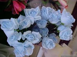Light Blue Rose Wallpaper