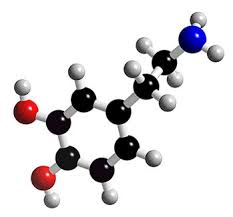 Molécula de dopamina (negro: carbono, rojo: oxígeno, azul: nitrógeno, gris: hidrógeno)