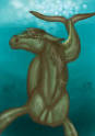 Makhluk yang dianggap sebagai Cadborosaurus terekam kamera di teluk Nushagak, Alaska Images?q=tbn:ANd9GcTBguXcae3nKeRhXagU3piw_mwScsFufidKmL5o46D7ISzr8raHC4NpuQ