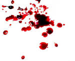 Community <b>Blood</b> Drive in