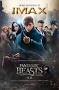 Image result for دانلود دوبله فارسي فيلم Fantastic Beasts And Where To Find Them 2016