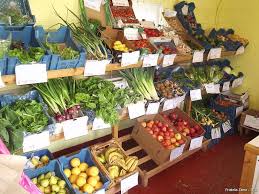 Ovocie a zelenina v bioobchode ... - 11.-ovocie-a-zelenina-v-bioobchode