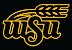 Wichita State Shockers Alternate Logo - NCAA Division I (u-z.