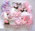 Baby GIFT BASKETS - Unique Baby Gift basket Ideas