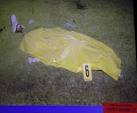 Trayvon Martin's body pictured moments after being shot by George ...