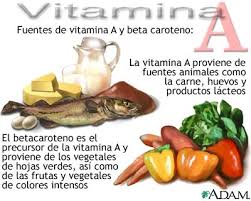 Vitamina A mbron nga kanceri i lëkurës Images?q=tbn:ANd9GcTVMXjuHnRZyoD-OgUEzh3dPelxhCy6mrI9dNQAAajPdt3uatne