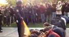 Pepper spray video sparks Occupy outrage - Associated Press ...