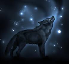 The Wolfs Way [2er RPG mit Kiba ^^] Images?q=tbn:ANd9GcTYi7rkL_yx9gsoCtaw-5LL8a2LpnQoNUm4fkc6v6G3ElU_nxS4