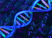 الوراثة و الهندسة الوراثية