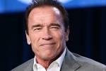 Schwarzenegger lands $3M Super Bowl ad deal | Page Six
