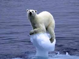 Image result for global warming