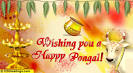Happy PONGAL! Free PONGAL eCards, Greeting Cards | 123 Greetings