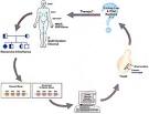/ref/Friedrich's+<b>ataxia</b>