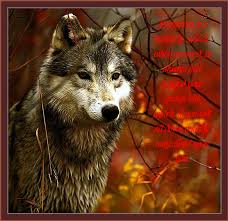 Werewolf Rp. Will you choose your life as a wolf, human, or both? Come find out. Images?q=tbn:ANd9GcTfrCUo9pr-rNi0y24ot7ikB5baaC9RULDcvNAR6u4iBmP5BIlt