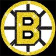 Boston Bruins Glittering