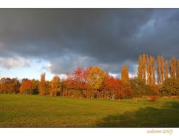 autumn 2007 - Bild \u0026amp; Foto von Silke Silvia Schlegel aus Landschaft ... - 17346546