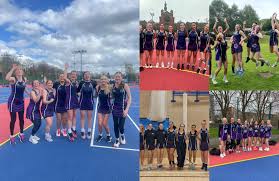 Image result for Foxes Netball Club
