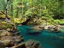 Nature - Ohanapecosh River, Mt. Rainier National Park - Free ...