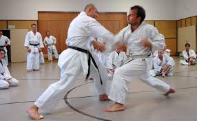 karate-toni dietl 5. dan meister - Bild \u0026amp; Foto von Karl Kovacs aus ... - 13409287