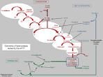 <b>Partial Thromboplastin</b>