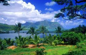المناظر الطبيعية في هاواي Images?q=tbn:ANd9GcTsuxhYR2DxQbiCZaFTESRLRciM_v2lUE_kI8szH7LdN7ufb9B5tA&t=1