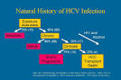 Hepatitis C, Current Information On Hepatitis C & treatments for ...