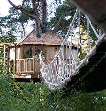 The tree house