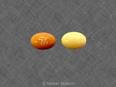 <b>Calcitriol</b>