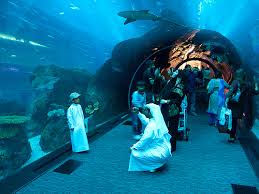 دبي مول هو أكبر مجمع تجاري في العالم Images?q=tbn:ANd9GcTyiMmCalS32aSyO9ZOz5JuhGcmvjwXU7SnsiIVJtZ_CFIBbiYZVQ