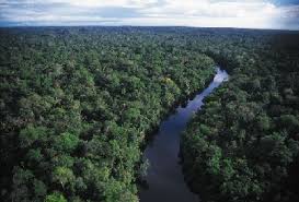 نهر الامازون Amazon_river