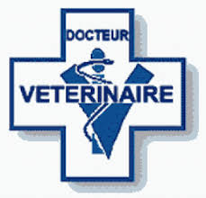 Service d'urgence animaux 608299logo_veterinaire