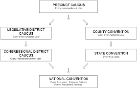 Caucus Cycle