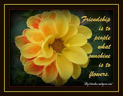 friendship flowers