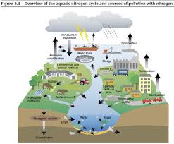 pollution of water