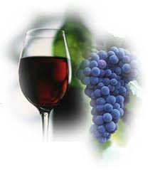 Red Wine and White Wine Brain