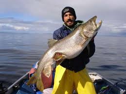 big-lake-trout