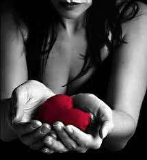 amor amor