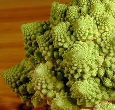 Edible Fractals: Romanesco (a