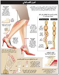 http://t2.gstatic.com/images?q=tbn:I-Z640xrxdrRtM:http://www.up.foxarab.com/upfiles/95h98067.jpg