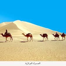 جمال بلادي الجزائر Travel.279332