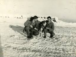 Bob, cook and Moose