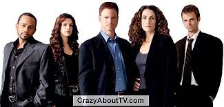 C.S.I.: NY TV Show Cast