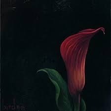 calla lily paintings