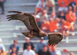What the hell is �War Eagle�?